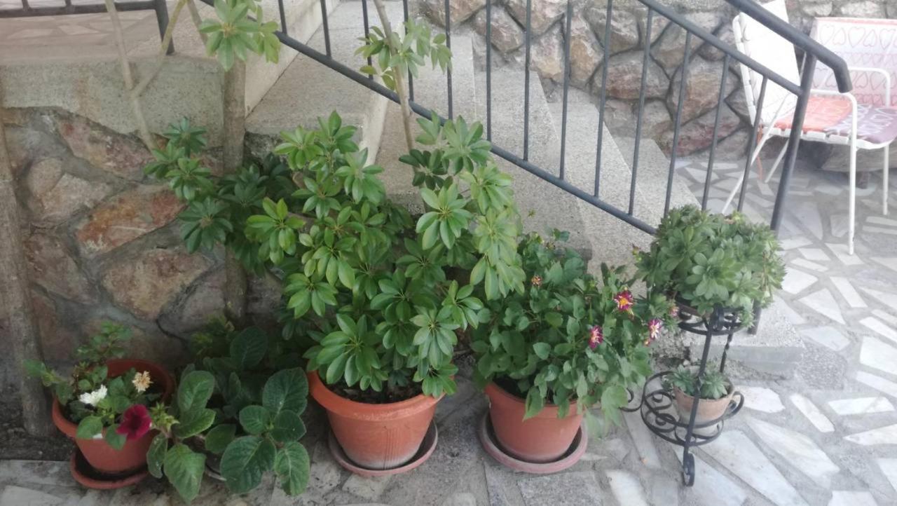 Guesthouse Zimovski Peštani Exterior foto